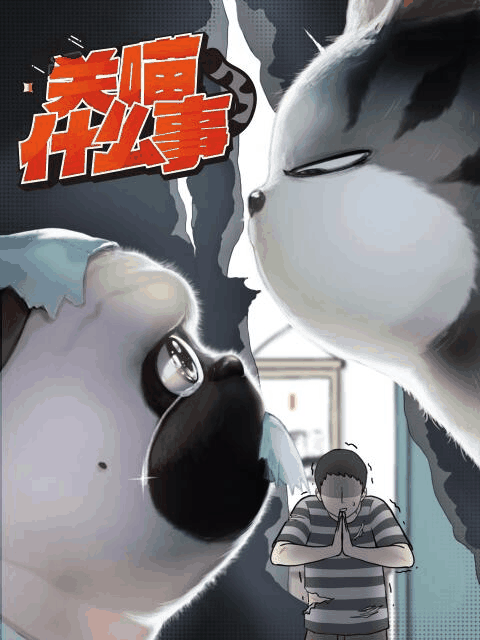 酷酷漫画_关喵什么事封面在线看
